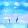 water blue 