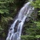 ニコイ大滝