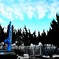 CSC_0406