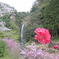桜龍門滝