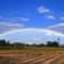 Over The Rainbow