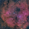 IC1396 散開星団　　　　　　　