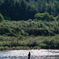 仁淀川に生きる1
