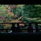 曹源池庭園　京都天龍寺