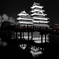 闇夜の烏