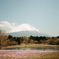 富士山と芝桜