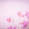 Flowers in full bloom