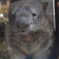 金沢動物園
