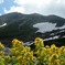 DSCN0933