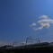 朝日を浴びて