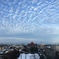 雲