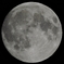 harvest moon 