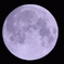 harvest moon2