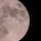 中秋の名月1　9月28日