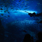 Deep Blue