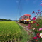 ローカル線の旅（北条鉄道）１