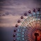 twilight ferris wheel