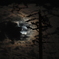 月夜