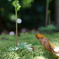 枯葉もビックリ冬の花蕨