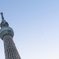 空の塔。