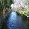 IMGP0446