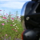 いつもの公園にて