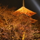 夜の三重塔