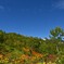 初秋の燕岳