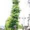 日本の風景　9
