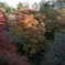 24-105-5d　用作公園 