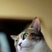 ん？