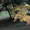 24-105-5d　用作公園 