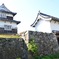 福岡城　伝潮見櫓