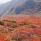 那須の紅葉