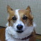 メイ　ショウメン