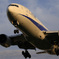 ANA033便