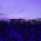 twilight sky