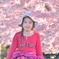 spring blossom