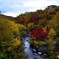 紅葉真っ盛り