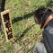 薄毛山桜