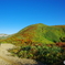 登山道