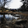 Waterside