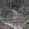 果無集落への古道1