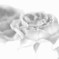 卒業の花