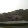 龍根来 012