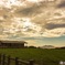 夕暮れ前の小さな牧場