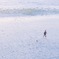 浜辺