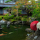 初秋～延算寺×岐阜和傘～