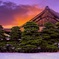 二条城