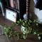 DSC00192